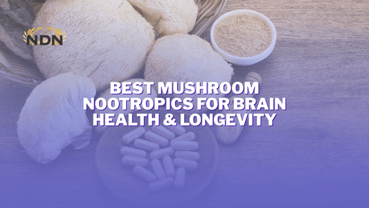 Best Mushroom Nootropics for Brain Health & Longevity - www.infinitemindusa.com