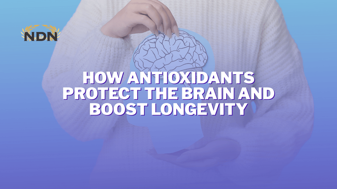 How Antioxidants Protect the Brain and Boost Longevity - www.infinitemindusa.com
