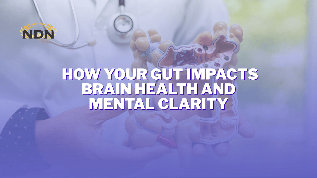 How Your Gut Impacts Brain Health and Mental Clarity - www.infinitemindusa.com