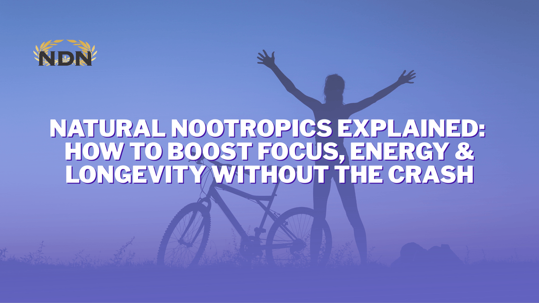 Natural Nootropics Explained: How to Boost Focus, Energy & Longevity Without the Crash - www.infinitemindusa.com